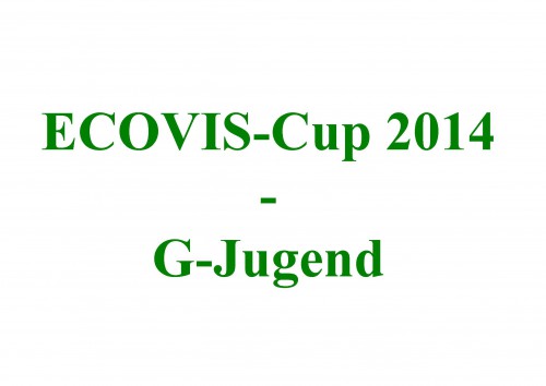 ECOVIS-Jugendcup 2014 der G-Jugend